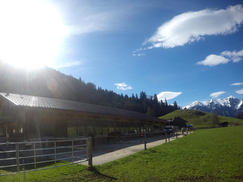Reiterhof Berggut Gaicht Hotel Nesselwangle Luaran gambar